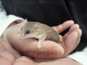 201105051217000